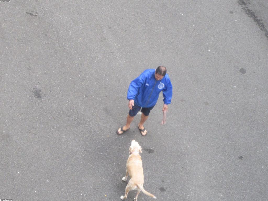 ហ្គេមថ្មីៗ៖ របៀបស្វែងរកនិងលេងហ្គេមថ្មី